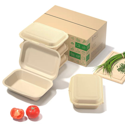 Eco-Friendly Disposable Food Container